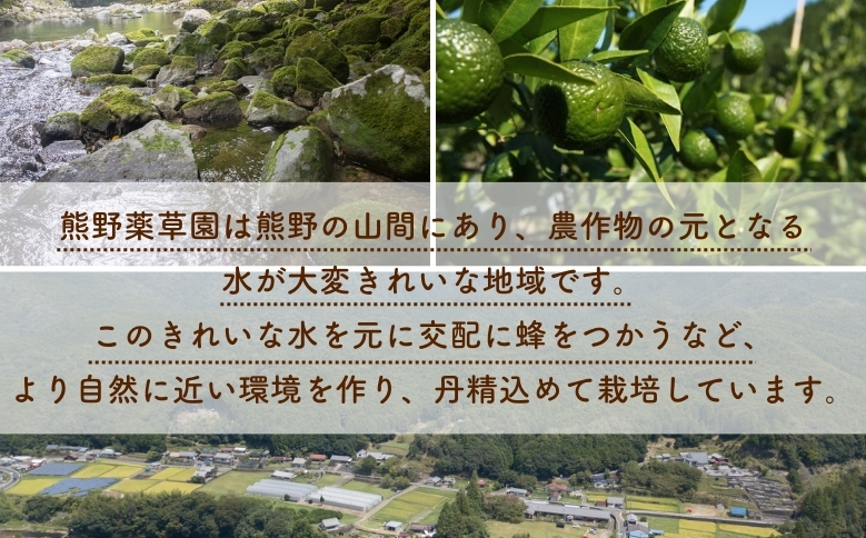 熊野薬草園の新姫（にいひめ）（1kg×2袋）【kmys0015】