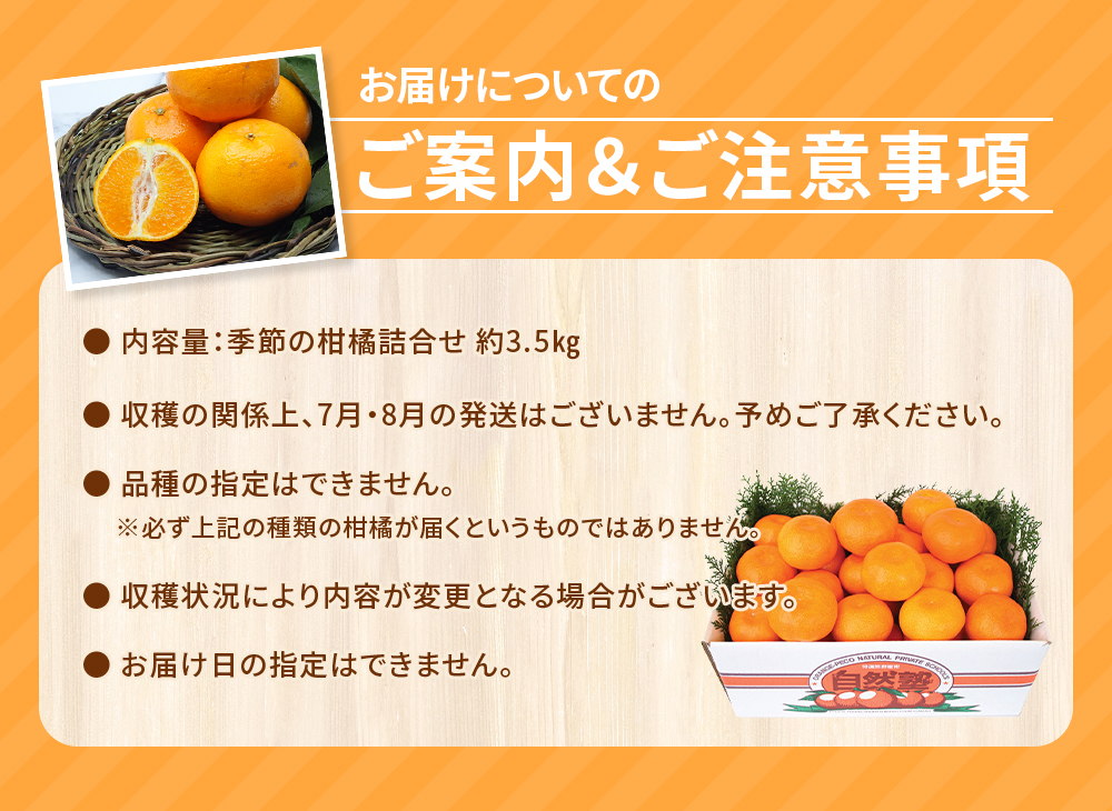 自然塾 季節の柑橘詰合せ 約3.5㎏ みかん ミカン 温州みかん フルーツ 果物 くだもの 柑橘 不知火 せとか 果物セット フルーツセット 甘い 濃厚 産地直送 数量限定 人気 国産 三重県 熊野市【szjk0003】