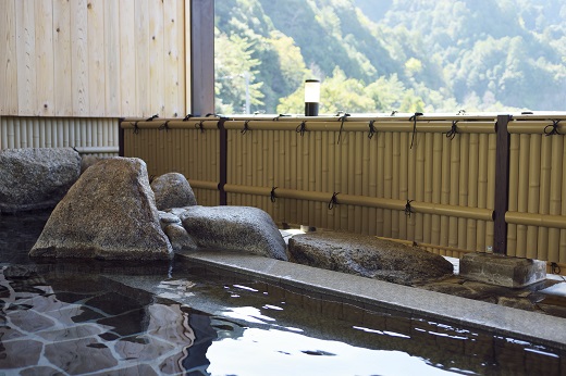 【プライベート花火付き！】入鹿温泉ホテル瀞流荘ペア宿泊券 一泊二食付きS【irsi0004】