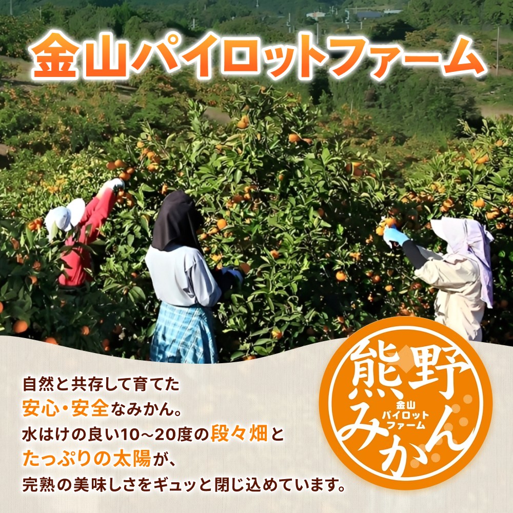 みかんストレートジュース「くまのそだち」（白ラベル）6本【knpr0002】