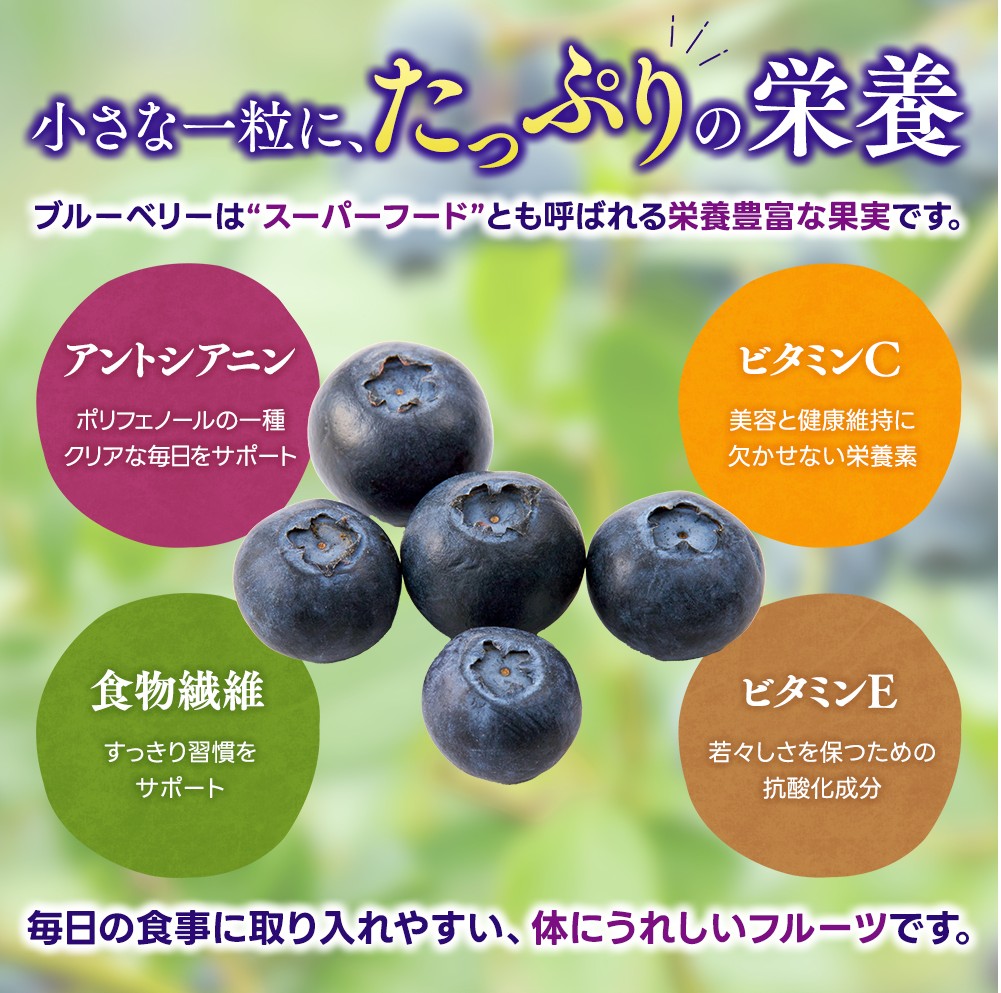 冷凍 ブルーベリー 1kg 急速冷凍 フルーツ 果物 くだもの スムージー ジャム 朝食 デザート 特産品 人気 国産 旬 金山パイロットファーム 三重県 熊野市【knpr0009A】
