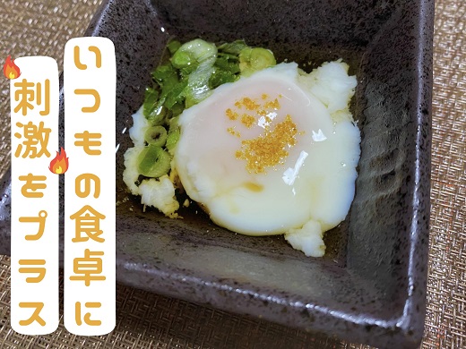 <テレビで紹介されました> 熊野唐辛子ギフト⑱（一味唐辛子（黄とうがらし）１本+一味唐辛子（プリッキーヌ）１本＋生唐辛子) 希少 国産唐辛子【kmng0028】