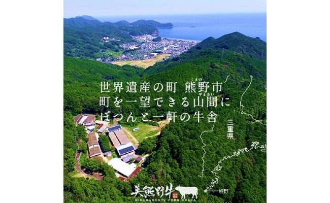 【全5回】美熊野牛 定期便B ＜すき焼きしゃぶしゃぶ用ロース＆赤身モモ肉 800g・切り落とし 800g・焼肉用6種食べ比べ 500ｇ・サーロインステーキ 300g×2枚・100％ハンバーグ 100g×5個＞【okad-tkb0024】