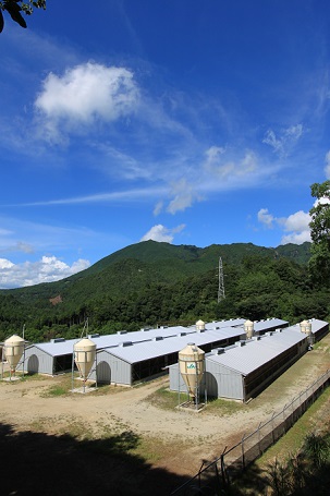 地鶏 鶏肉 熊野地鶏 焼鳥セット 5本×3P 肉 鶏肉 鳥肉 とり肉 地鶏 焼き鳥 焼鳥 炭火焼鳥 炭火焼き 惣菜 おかず 小分けパック 国産 名古屋コーチン 伊勢赤どり 三重県 熊野市【frsn0012】