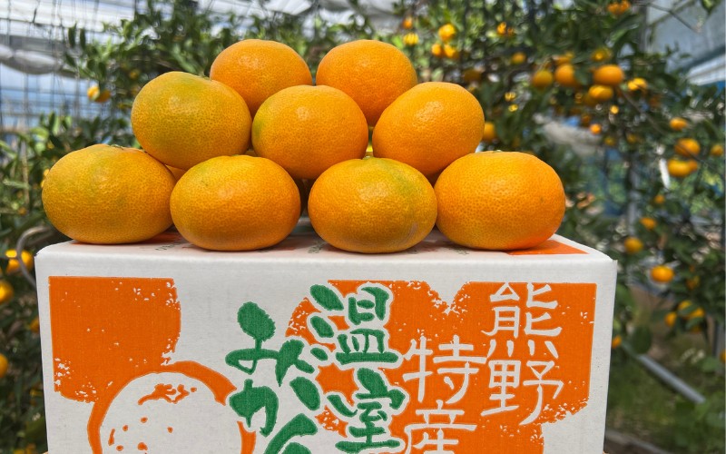 【数量限定】仲森農園の温室みかん 2.5kg 【2026年7月より順次発送予定（お届け日指定不可）】【nkmr0001】