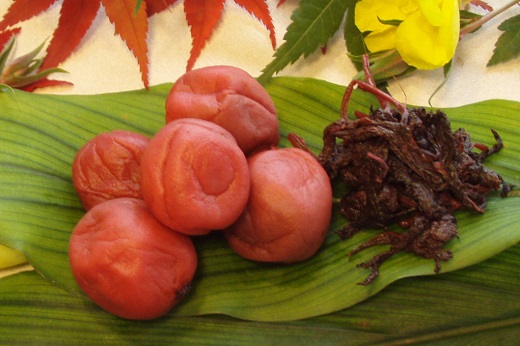 梅干し 無添加 小分けタイプ 昔ながらのすっぱいしそ漬け梅干し　110g×５【frsn0003】