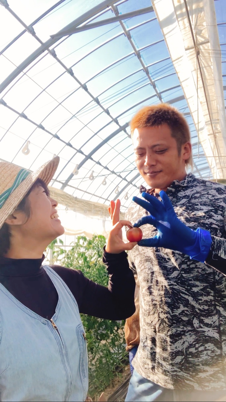 【先行予約】熊野市産 仲良し夫婦の ま～るんトマト 2.5kg【mrmn0002】