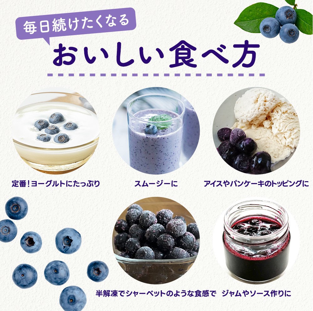 冷凍 ブルーベリー 1kg 急速冷凍 フルーツ 果物 くだもの スムージー ジャム 朝食 デザート 特産品 人気 国産 旬 金山パイロットファーム 三重県 熊野市【knpr0009A】