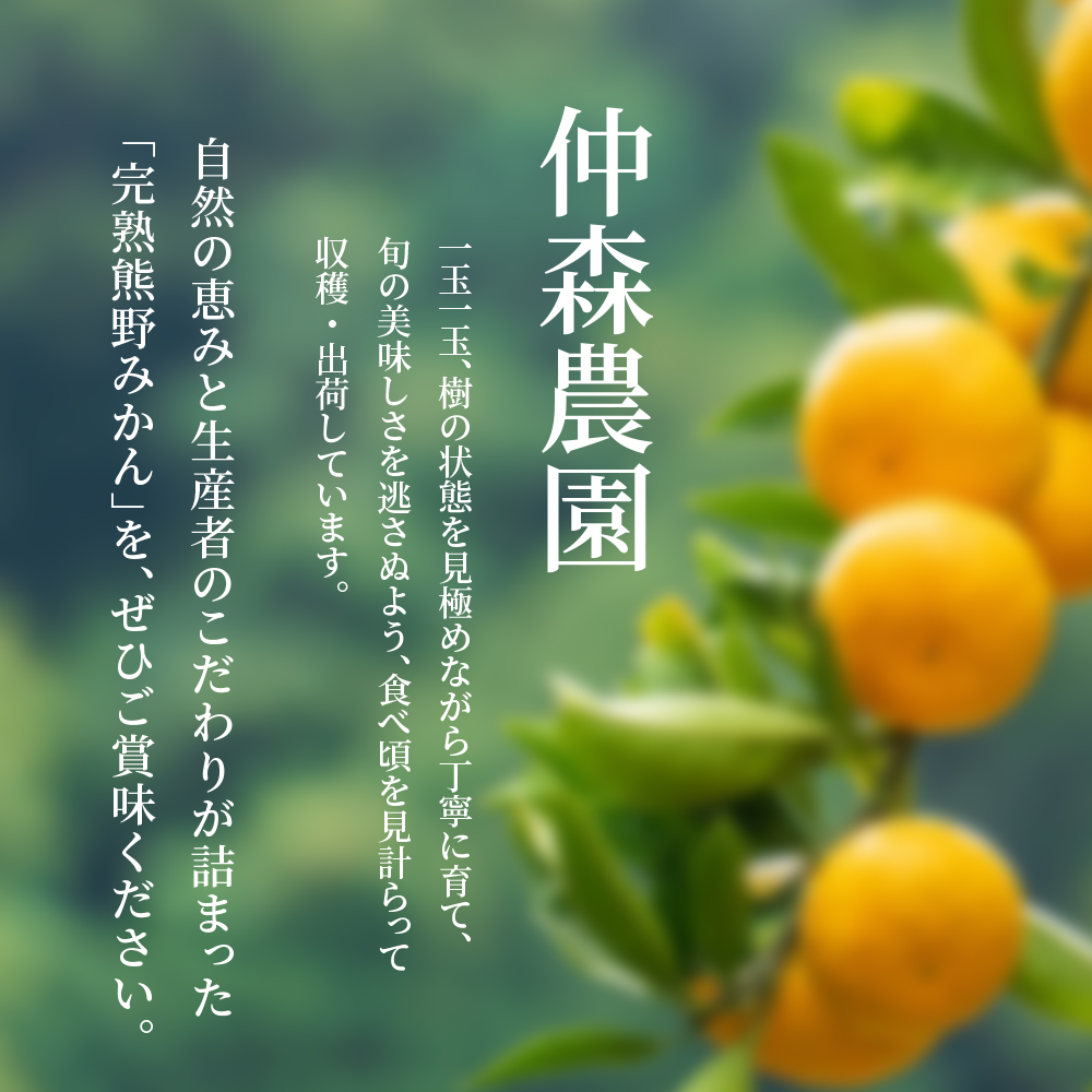 仲森農園の完熟熊野みかん 5kg【11月下旬から12月下旬に発送】みかん ミカン 温州みかん【nkmr0010】