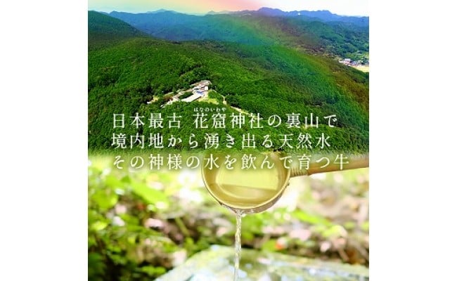 【全3回】美熊野牛 定期便B ＜すき焼きしゃぶしゃぶ用ロース＆赤身モモ肉 800g・切り落とし 800g・ハンバーグ 100g×5個＞ 牛肉 肉 ブランド牛 和牛 黒毛和牛 国産牛 すき焼き しゃぶしゃぶ 赤身 赤身肉 肉定期便 人気 希少 おすすめ 三重県 熊野市【okad-tkb0012】