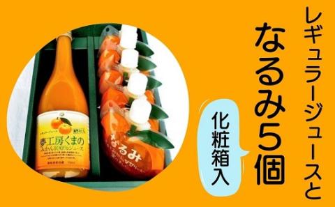 定番みかんジュースとゼリー「なるみ」の詰め合わせ♪【レギュラージュース720ml×1本・なるみ５個】 化粧箱 オレンジジュース みかんゼリー プレゼント 贈答用 三重県 熊野市【kmkn0145】