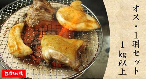 地鶏 鶏肉 とっておき地鶏 1羽セット オス 1㎏以上 モモ肉 むね肉 ササミ肉 各2枚 肉 鶏肉 鳥肉 とり肉 地鶏 焼き鳥 焼鳥 炭火焼鳥 炭火焼き もも肉 むね肉 ささみ 惣菜 おかず 小分けパック 国産 名古屋コーチン 伊勢赤どり 三重県 熊野市【frsn0005】