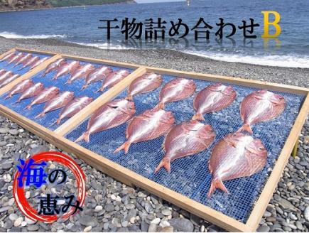 熊野干物詰め合わせ 海の恵み B 鯛 サンマ アジ カマス ブリ カワハギ スルメ 人気 干物セット【hatt0002】