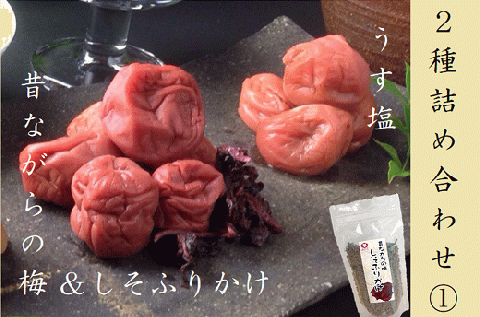 梅干し 熊野乃梅 2種詰合せ① 昔ながら（塩分25％） うす塩（塩分9％） しそふりかけ【snby0009】