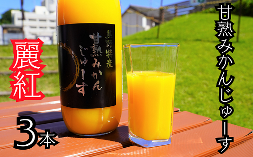仲森農園の【麗紅甘熟みかんじゅーす】（3本） みかん 100% オレンジジュース れいこう 柑橘 ストレート ドリンク フルーツ 【nkmr0007】