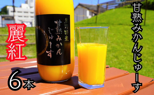 仲森農園の【麗紅甘熟みかんじゅーす】（6本） みかん 100% オレンジジュース れいこう 柑橘 ストレート ドリンク フルーツ【nkmr0008】