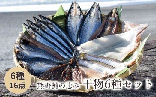 干物 詰め合わせ 6種 16点 干物 ひもの 食べ比べ あじ開き さんま開き かます開き さんまみりん干 さんま丸干 いか一夜干し 松屋水産 三重県熊野市【mtys0002】
