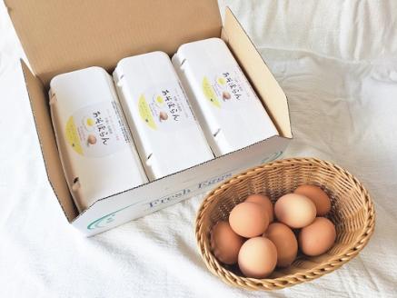 卵 平飼い有精卵 あそぼらん 60個 卵 たまご 玉子 タマゴ 卵焼き 玉子焼き 卵料理【asit0002A】