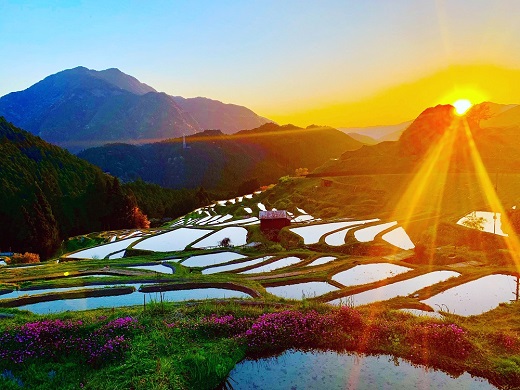 丸山千枚田を守る会会員権（令和８年度）【snmr0004】