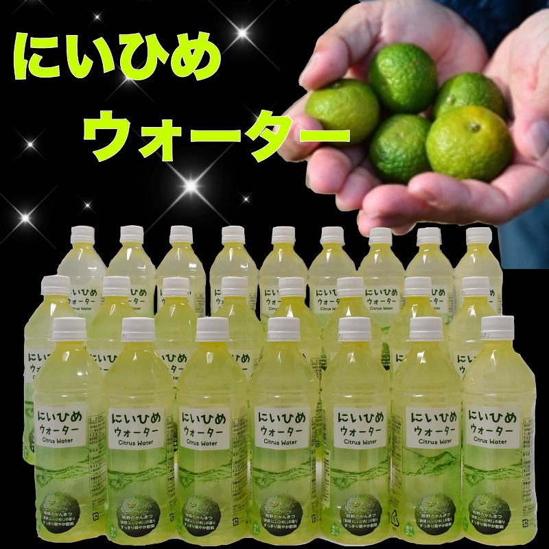 乾いたカラダを潤す♪ にいひめウォーター ５１０ml × ２４本 入【frsn0014】