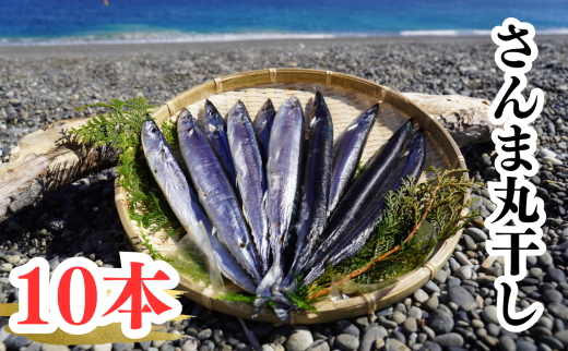 さんま丸干し　10本　魚作商店3代目の丸干し製法【uosk0015】
