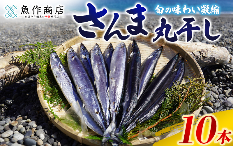 干物 さんま丸干し 10本 【魚作商店3代目の丸干し製法】 ひもの サンマ 秋刀魚 冷凍 海鮮 魚介類 特産品 焼き魚 魚 おかず おつまみ 三重県 熊野市【uosk0015】