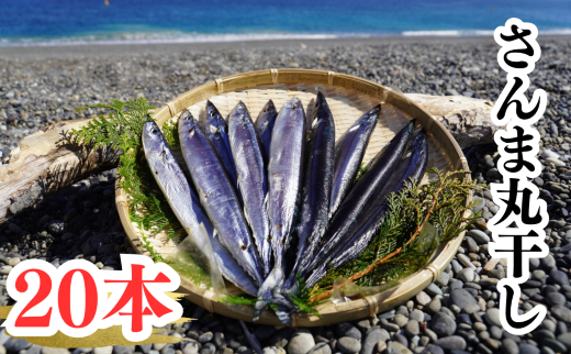 さんま丸干し　20本　魚作商店3代目の丸干し製法【uosk0016】