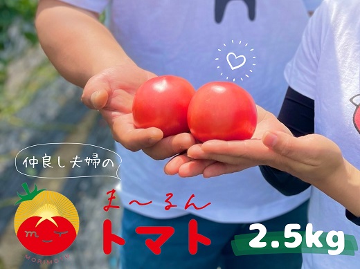 【先行予約】熊野市産 仲良し夫婦の ま～るんトマト 2.5kg【mrmn0002】
