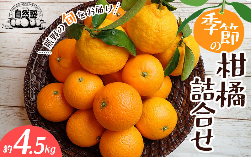 自然塾 季節の柑橘詰合せ 約4.5㎏ みかん ミカン 温州みかん フルーツ 果物 くだもの 柑橘 不知火 せとか 果物セット フルーツセット 甘い 濃厚 産地直送 数量限定 人気 国産 三重県 熊野市 【szjk0010】