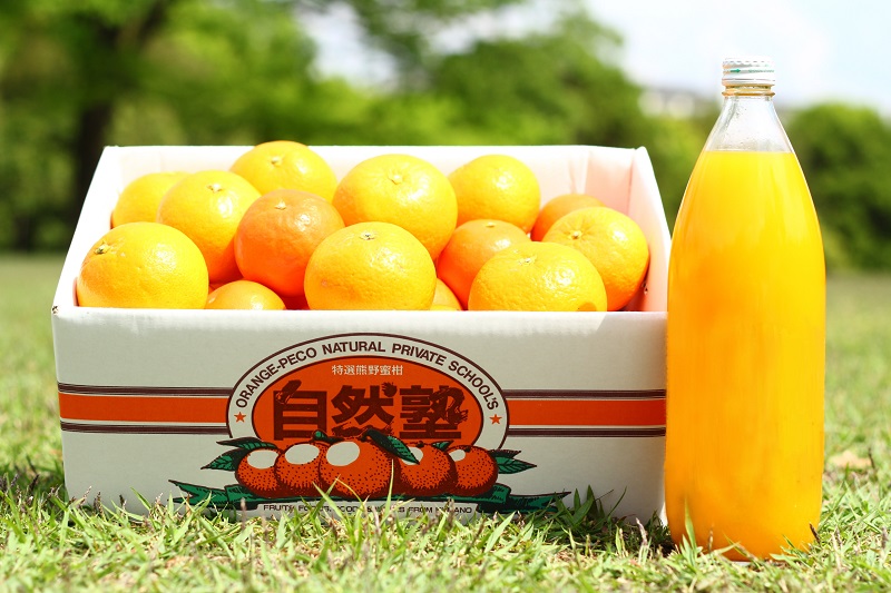 自然塾 季節のみかん＆まるごと果汁 詰合せ みかん ミカン 温州みかん フルーツ 果物 くだもの 柑橘 不知火 ポンカン みかんジュース ジュース 甘い 濃厚 産地直送 数量限定 人気 国産 三重県 熊野市 【szjk0001】