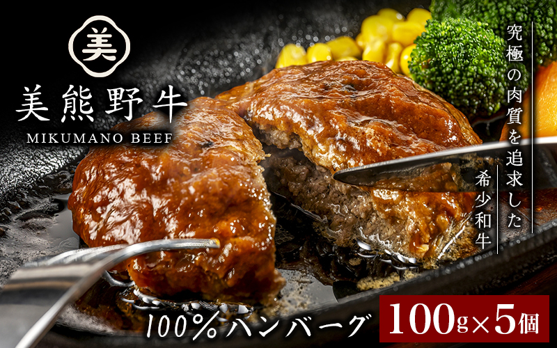 美熊野牛 100％ ハンバーグ 100g×5個 牛肉 肉 ハンバーグ 惣菜 お惣菜 ブランド牛 和牛 黒毛和牛 国産牛 霜降り 赤身 おかず 小分け 簡単調理 人気 希少 おすすめ 三重県 熊野市【okad0007】