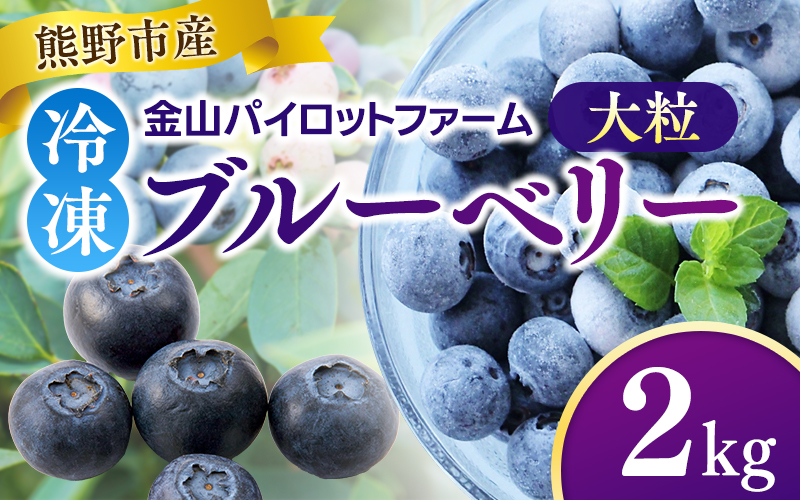 冷凍 ブルーベリー 2kg 急速冷凍 フルーツ 果物 くだもの スムージー ジャム 朝食 デザート 特産品 人気 国産 旬 金山パイロットファーム 三重県 熊野市【knpr0010A】