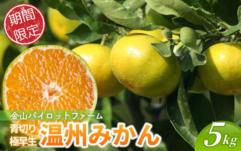 みかん 金山パイロットファームの 温州みかん 5㎏ 極早生(青切り) みかん ミカン 温州みかん 極早生 極早生みかん フルーツ 果物 くだもの 柑橘 産地直送 数量限定 人気 国産 三重県 熊野市【knpr0012A】