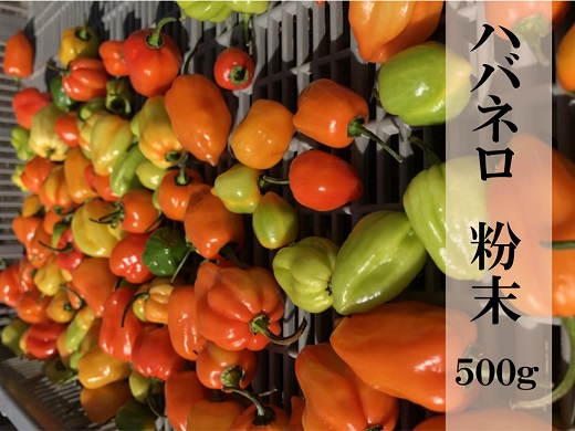 <テレビで紹介されました> 【熊野唐辛子】ハバネロ 粉末 500g 希少 国産唐辛子【kmng0001】