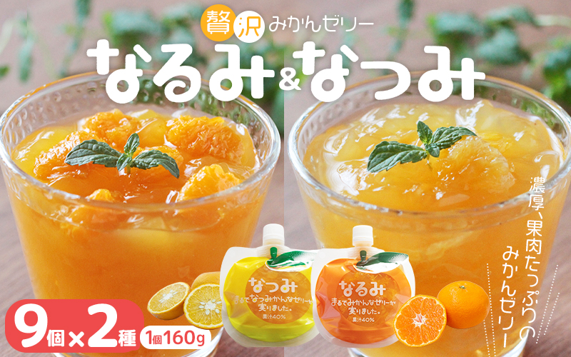 贅沢ゼリー詰め合わせ18個【「なるみ」「なつみ」18個】ご家庭用【kmkn0161】