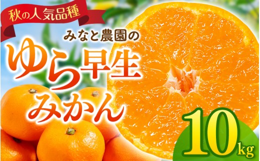 【数量限定】みなと農園のゆら早生みかん  約10kg 2S～Lサイズ混合 【2026年10月中旬頃〜順次発送】 みかん ミカン 蜜柑 温州みかん 温州ミカン 柑橘 フルーツ 果物 くだもの 早生 甘い 旬 人気 産地直送 三重県 熊野市【mntf0008】