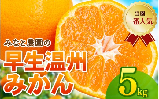 【数量限定】みなと農園の温州みかん 早生 約5kg 2S～Lサイズ混合 【2026年12月上旬頃〜順次発送】 みかん ミカン 蜜柑 温州みかん 温州ミカン 柑橘 フルーツ 果物 くだもの 甘い 旬 人気 産地直送 三重県 熊野市【mntf0009】