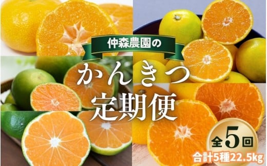 【全5回】仲森農園の柑橘定期便 合計5種 22.5kg 【温室みかん・超極早生温州「みえ紀南一号」・極早生温州・由良早生・早生温州「完熟熊野みかん」】 みかん ミカン 蜜柑 温州みかん 温州ミカン 柑橘 みかん定期便 フルーツ定期便 果物定期便 柑橘定期便 フルーツ 果物 くだもの 甘い 旬 人気 産地直送 三重県 熊野市【nkmr-tkb0002】