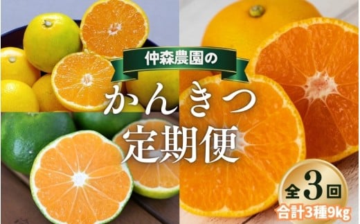 【全3回】仲森農園の柑橘定期便 合計3種 9kg 【極早生温州・由良早生・早生温州「完熟熊野みかん」】 みかん ミカン 蜜柑 温州みかん 温州ミカン 柑橘 みかん定期便 フルーツ定期便 果物定期便 柑橘定期便 フルーツ 果物 くだもの 甘い 旬 人気 産地直送 三重県 熊野市【nkmr-tkb0011】