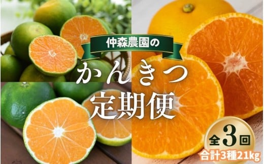 【全3回】仲森農園の柑橘定期便 合計3種 21kg 【超極早生温州「みえ紀南一号」・極早生温州・早生温州「完熟熊野みかん」】 みかん ミカン 蜜柑 温州みかん 温州ミカン 柑橘 みかん定期便 フルーツ定期便 果物定期便 柑橘定期便 フルーツ 果物 くだもの 甘い 旬 人気 産地直送 三重県 熊野市【nkmr-tkb0017】