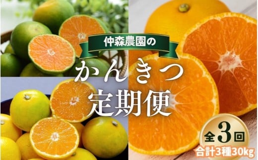 【全3回】仲森農園の柑橘定期便 合計3種 30kg 【超極早生温州「みえ紀南一号」・由良早生・早生温州「完熟熊野みかん」】 みかん ミカン 蜜柑 温州みかん 温州ミカン 柑橘 みかん定期便 フルーツ定期便 果物定期便 柑橘定期便 フルーツ 果物 くだもの 甘い 旬 人気 産地直送 三重県 熊野市【nkmr-tkb0022】