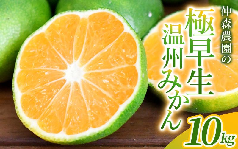 仲森農園の極早生温州みかん 約10kg みかん ミカン 蜜柑 温州みかん 温州ミカン 柑橘 フルーツ 果物 くだもの 甘い 旬 数量限定 期間限定 産地直送 10000円 三重県 熊野市【2026年9月下旬頃～10月下旬頃に順次発送】【nkmr0018】