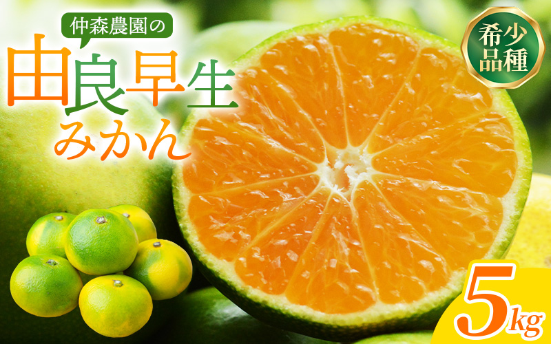 仲森農園の由良早生みかん 約5kg みかん ミカン 蜜柑 温州みかん 温州ミカン 柑橘 フルーツ 果物 くだもの 早生 甘い 旬 希少 数量限定 期間限定 産地直送 三重県 熊野市【2026年11月上旬頃～11月中旬頃に順次発送】【nkmr0020】