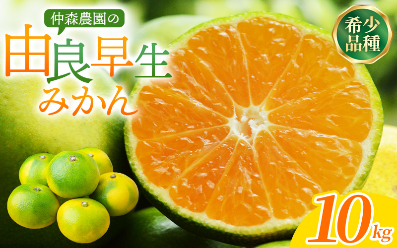 仲森農園の由良早生みかん 約10kg みかん ミカン 蜜柑 温州みかん 温州ミカン 柑橘 フルーツ 果物 くだもの 早生 甘い 旬 希少 数量限定 期間限定 産地直送 三重県 熊野市【2026年11月上旬頃～11月中旬頃に順次発送】【nkmr0022】