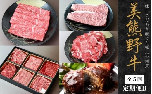 【全5回】美熊野牛 定期便B ＜すき焼きしゃぶしゃぶ用ロース＆赤身モモ肉 800g・切り落とし 800g・焼肉用6種食べ比べ 500ｇ・サーロインステーキ 300g×2枚・100％ハンバーグ 100g×5個＞【okad-tkb0024】