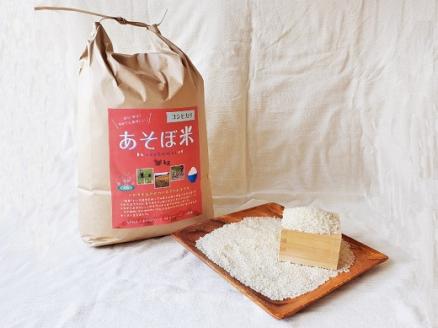[令和5年産]あそぼ米(こしひかり)白米 10kg