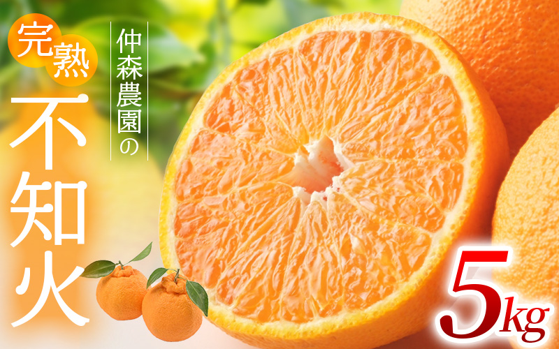 【数量限定】仲森農園の完熟不知火 5kg 【2026年2月～4月頃で順次発送】【nkmr0003】