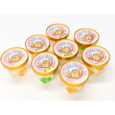 三重県いなべ市の「ジェラートの駅うりぼ～の」より地産地消のジェラート(おまかせ8個入)をお届け!【配送不可地域：離島】