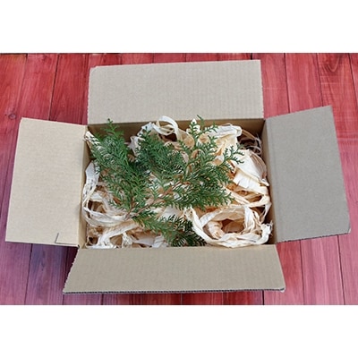 いなべの間伐材のヒノキまな板(小)　[ ひのき 桧 俎板 リラックス ]