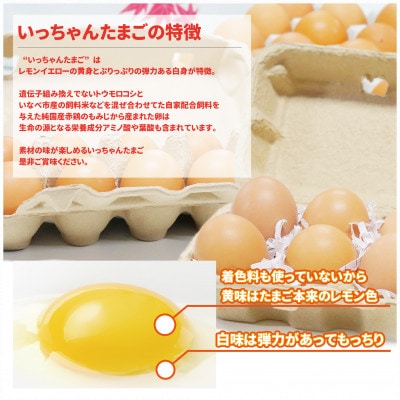 大自然の中で育ったいっちゃんたまご